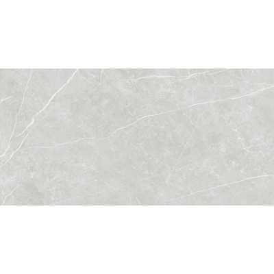 Плитка 60*120 Elite Silver Matt Rec