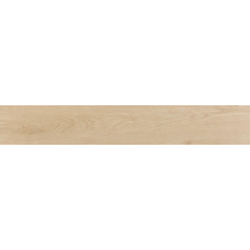 Плитка 20*120 Evoque Arce