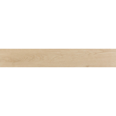 Плитка 20*120 Evoque Arce