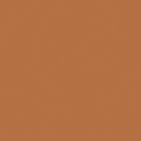 Плитка 20*20 Bauhome Terrakotta 27683