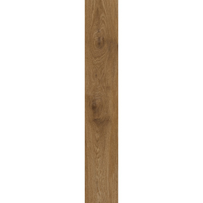 Плитка 20*120 Ossimori Miele Rett R9Td