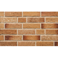 Клинкерная Плитка 7,1*24 Steinlinge Amberbeige 7370.372