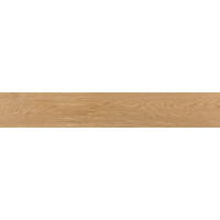Плитка 20*120 Evoque Roble