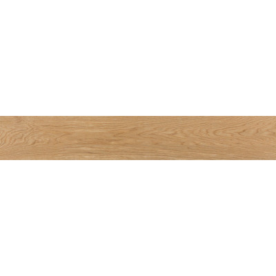Плитка 20*120 Evoque Roble