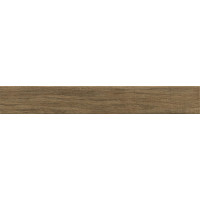 Плитка 10*70 Woodglam Noce R06R