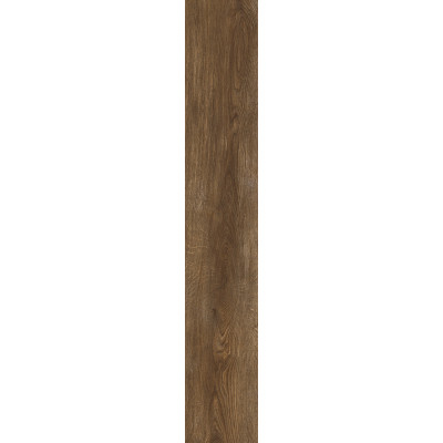 Плитка 20*120 Inedito Cannella Rett Radx