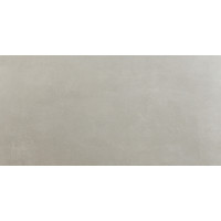 Плитка 60*120 Basic Silver Rec.
