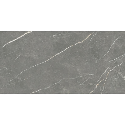 Плитка 60*120 Elite Graphite Matt Rec