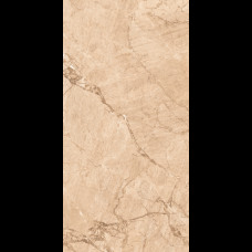 Керамограніт Sandy Brown Polished 60X120
