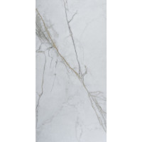 Керамогранит Elepo Gold 017 Mat 60 x120