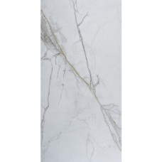 Керамограніт Elepo Gold 017 Mat 60 x120