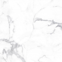 Керамограніт Alcora Grey F P 600x600х8 R Full Lappato 1