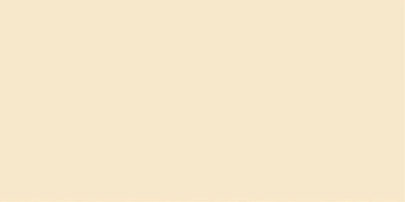 Плитка стінова Neve Vanilla MAT 300x600 Paradyz
