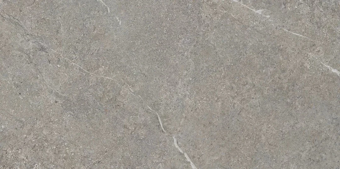Плитка керамогранітна Misty Rock Grey SZKL RECT MAT 598x1198x8 Paradyz
