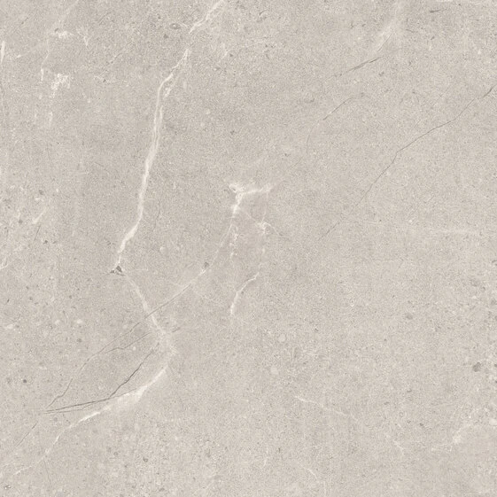 Плитка керамогранитная Sunnydust Light Grys RECT 598x598x9 Paradyz