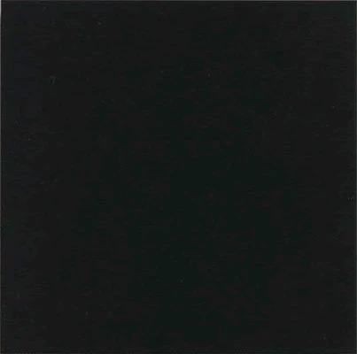 Плитка керамогранітна Monocolor Negro 200x200x10 Vives