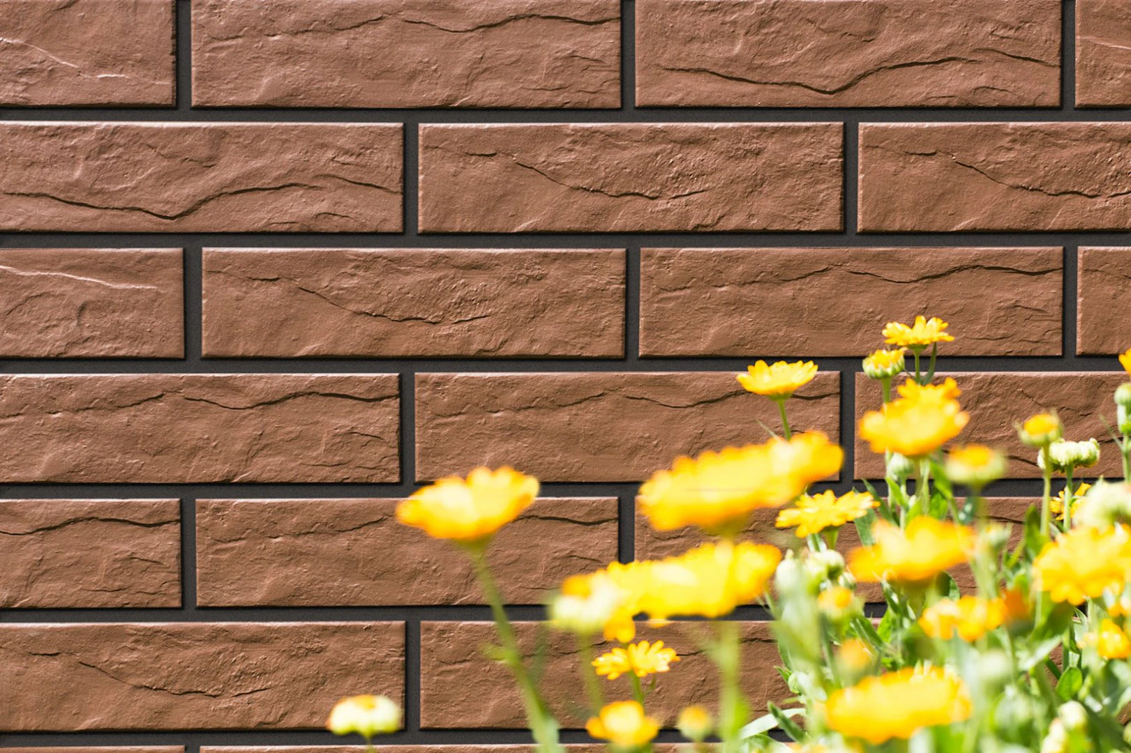 Плитка фасадная Braz RUST 65x245x6,5 Cerrad Плитка фасадная Braz RUST 65x245x6,5 Cerrad
