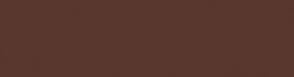 Плитка фасадна Natural Brown 65x240x7,4 Paradyz